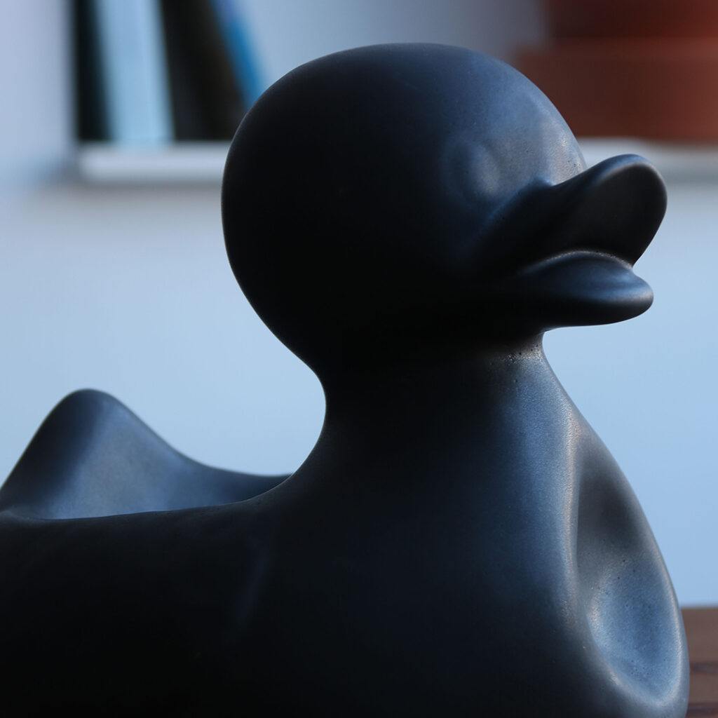 Mr. Ugly Duckling Small