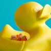 Mr. Ugly Duckling Small